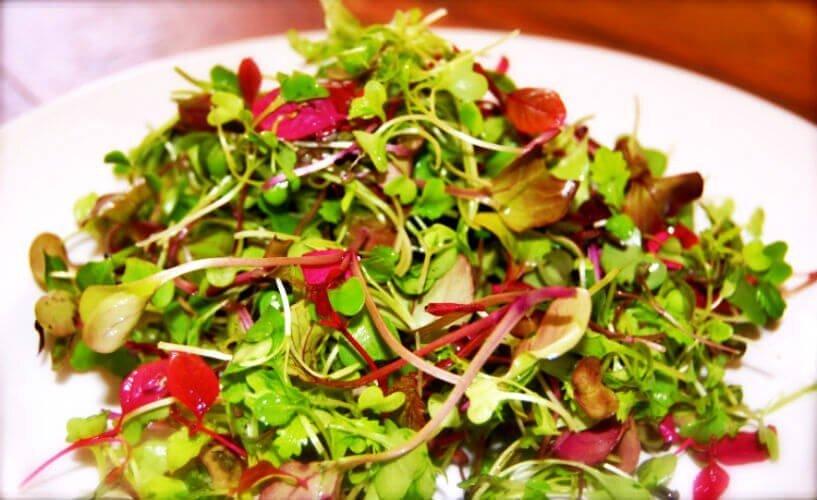 Salad rau dền - YeuAmThuc.org