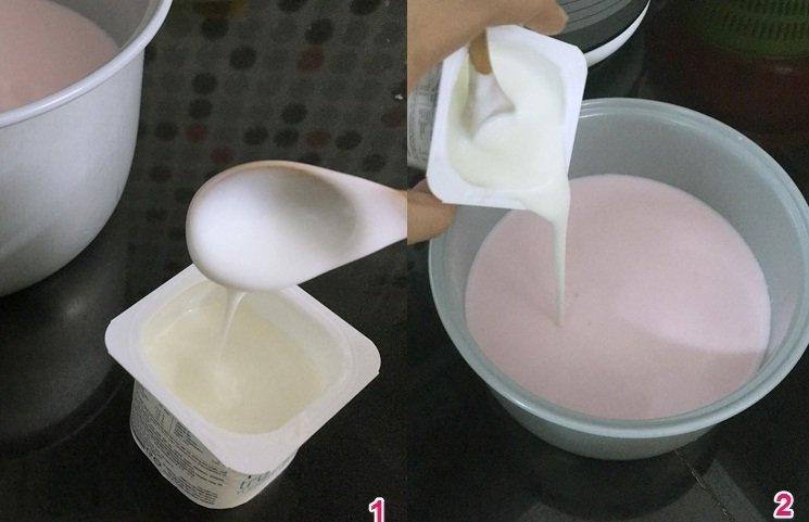 Cách làm sữa chua