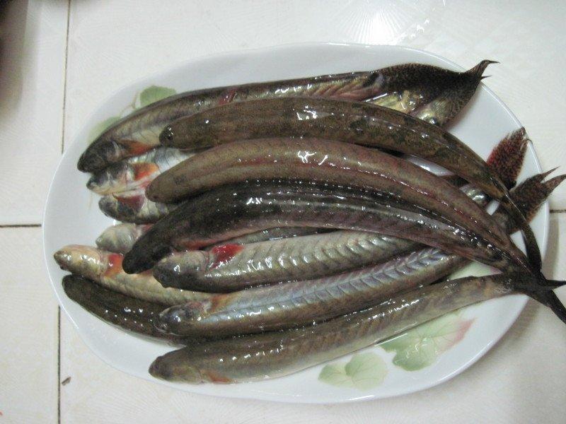 Cá kèo kho tộ