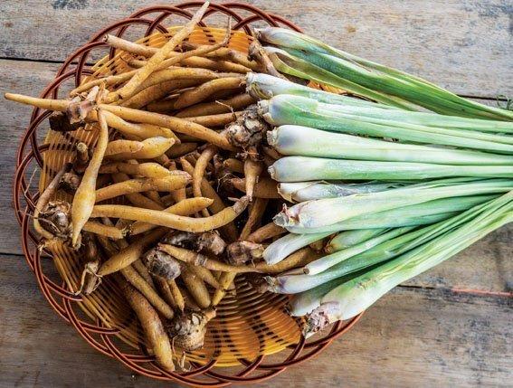 Cách nấu bún cá Châu Đốc