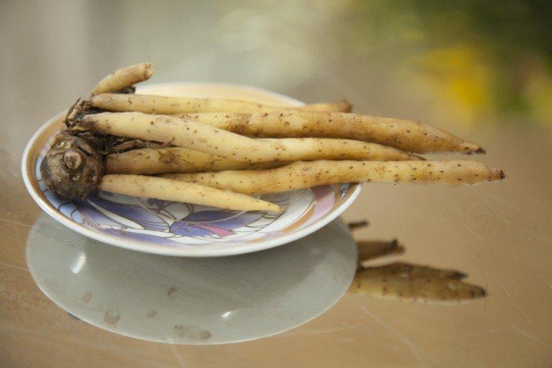 Cách nấu bún cá Châu Đốc